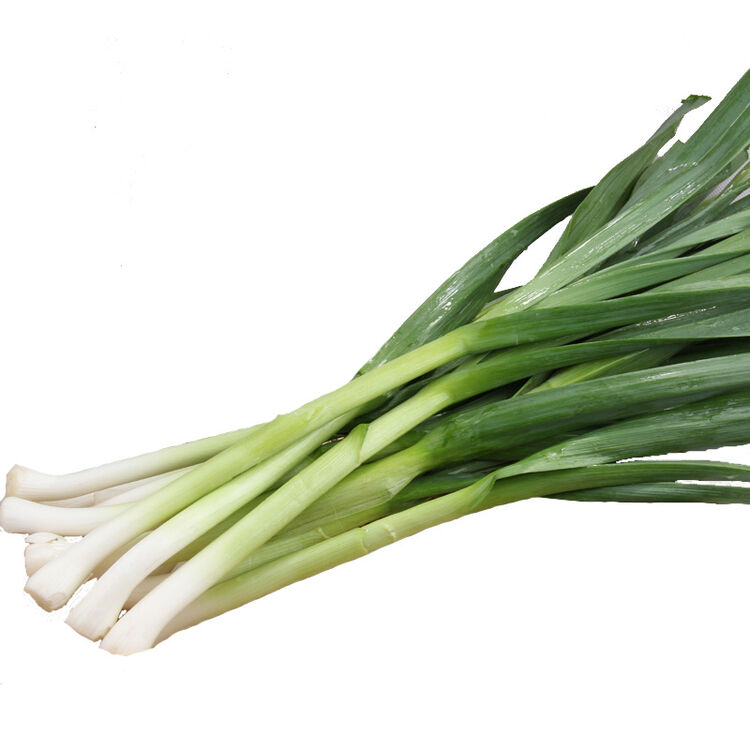 彩虹云寶 新鮮有機(jī)蔬菜 青蒜苗 250g 多省滿百包郵